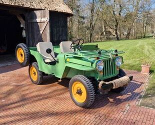 Jeep Jeep Willys Gebrauchtwagen