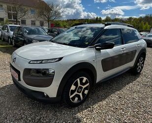 Citroen Citroën C4 Cactus Shine Edition*Kamera*Panorama*1. Gebrauchtwagen