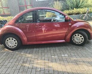 VW Volkswagen Beetle Gebrauchtwagen