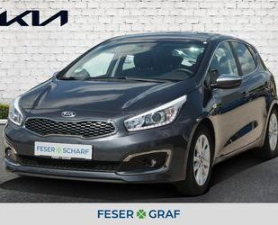 Kia Kia Ceed 1.4 DreamTeam PREMIUM+ Navi Sitzhzg. PDC Gebrauchtwagen