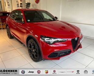 Alfa Romeo Alfa Romeo Stelvio Competizione 2.0 Turbo 280PS Q4 Gebrauchtwagen