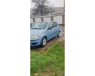 Fiat Fiat Punto 1.2 8V - Gebrauchtwagen