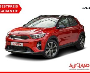 Kia Kia Stonic 1.0 T-GDI Vision Winterpaket AHK DAB PD Gebrauchtwagen