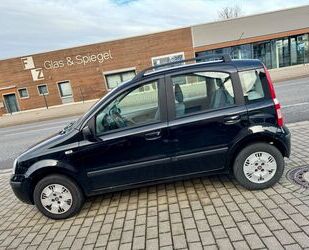 Fiat Fiat Panda 1.1 8V Active Gebrauchtwagen