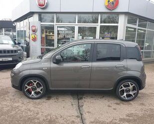 Fiat Fiat Panda Sport Hybrid 1.0 GSE- limited edition Gebrauchtwagen