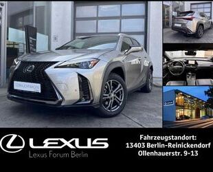 Lexus Lexus UX250h F-Sport Design * Navi * Winterräder * Gebrauchtwagen