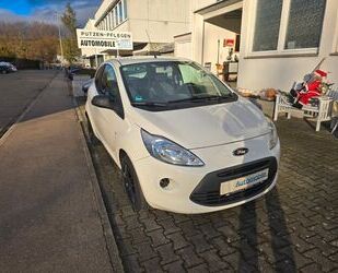 Ford Ford Ka Concept lückenlos Ford Scheckheftgepflegt Gebrauchtwagen