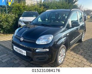 Fiat Fiat Panda Lounge Automatik+Klima+Euro5 Gebrauchtwagen