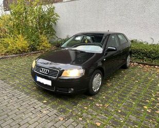 Audi Audi A3 1.6 Ambition, Scheckheftgepflegt, HU 10/20 Gebrauchtwagen