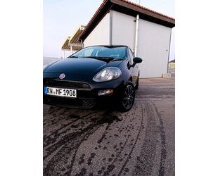 Fiat Fiat Punto 1.2 8V STREET STREET Gebrauchtwagen