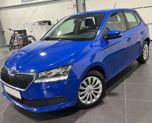 Skoda Skoda Fabia 1.0 TSi **5-Türig*USB*SOS** Gebrauchtwagen