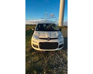 Fiat Fiat Panda 1.2 SHZ, Frontscheiben Heizung Gebrauchtwagen