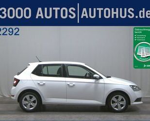 Skoda Skoda Fabia 1.0 DAB PDC Gebrauchtwagen