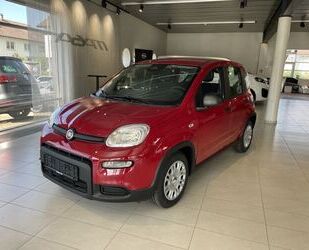 Fiat Fiat Panda 1.0 GSE Hybrid (312) Gebrauchtwagen