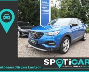 Opel Opel Grandland X 1.2T 2020 LED/iGrip/AGR+/bhzWSS/N Gebrauchtwagen