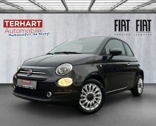 Fiat Fiat 500 1.0 Mild Hybrid/Park-Distance-Control/App Gebrauchtwagen