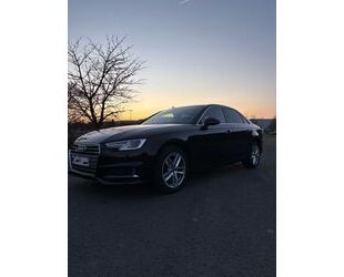 Audi Audi A4 35 TDI S tronic sport sport Gebrauchtwagen