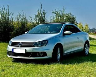 VW Volkswagen Eos 2.0 TDI BlueMotion Technology BlueM Gebrauchtwagen