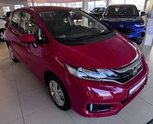 Honda Honda Jazz 1.3 i-VTEC Trend Gebrauchtwagen