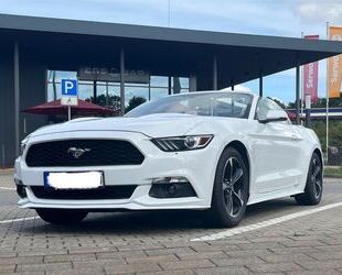 Ford Ford Mustang 2.3 EcoBoost Cabrio Gebrauchtwagen