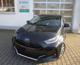 Mazda Mazda 2 Hybrid 1.5 116 PS CVT Select HUD/RFK/SHZ/L Gebrauchtwagen