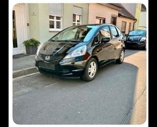 Honda Honda Jazz 1.2 - Schwarz, TÜV neu, mängelfrei Gebrauchtwagen