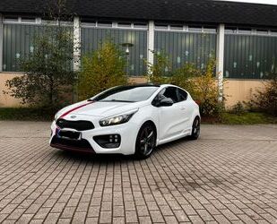 Kia Kia pro_ceed / ProCeed 1.6 T-GDI GT-Track pro_c... Gebrauchtwagen