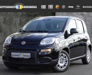 Fiat Fiat Panda Pandina 1.0 GSE Hybrid CITY-PAKET Gebrauchtwagen