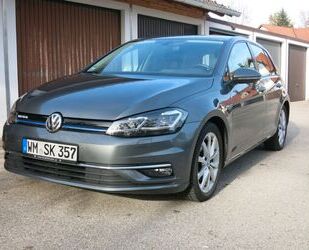 VW Volkswagen Golf 1.5 TSI ACT OPF BlueMotion Highlin Gebrauchtwagen