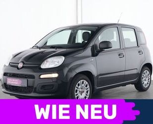 Fiat Fiat Panda DAB+|Klima|Radio mit USB Gebrauchtwagen