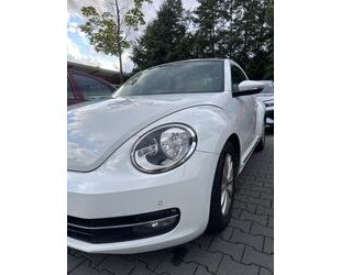 VW Volkswagen Beetle 2.0 with Turbo - Pano Automatic Gebrauchtwagen