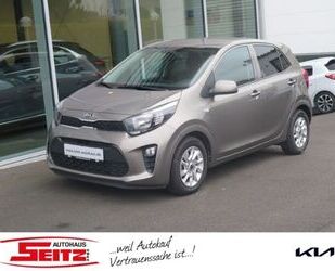 Kia Kia Picanto Dream Team SHZ LenkradHZG Tel.-Vorb. B Gebrauchtwagen