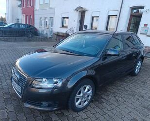 Audi Audi A3 1.4 TFSI Ambition Sportback Ambition Gebrauchtwagen