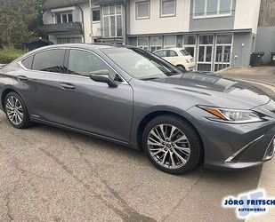 Lexus Lexus ES 300h Executive*NAVI*MARK LEVINSON*360°KAM Gebrauchtwagen