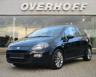 Fiat Fiat Punto 1.2 8V More Gebrauchtwagen