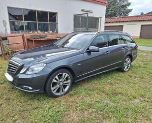 Mercedes-Benz Mercedes-Benz E 220 CDI T Elegance TÜV Neu Gebrauchtwagen