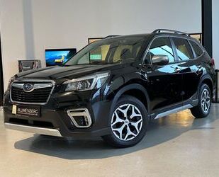 Subaru Subaru Forester 2.0 Active*ACC,LED,Totw.,Kam.,Star Gebrauchtwagen