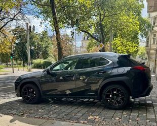 Lexus UX Gebrauchtwagen