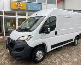 Opel Opel Movano C Kasten HKa L2H2 3,5t Edition Gebrauchtwagen