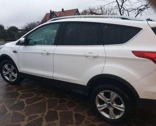 Ford Ford Kuga 1,5 EcoBoost 2x4 110kW SYNC Edition SYN. Gebrauchtwagen