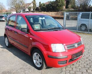 Fiat Fiat Panda 1.3 16V JTD Dynamic Gebrauchtwagen