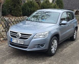 VW Volkswagen Tiguan 1.4 TSI Mountain Gebrauchtwagen