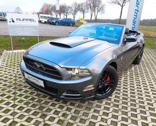 Ford Ford Mustang V6 3,7L Cabrio Xenon Premium Automati Gebrauchtwagen