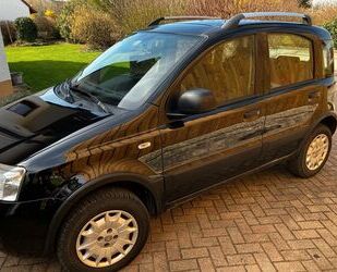 Fiat Fiat Panda 1.2 8V Climbing 4X4 schwarz Gebrauchtwagen