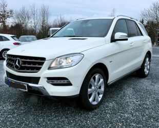 Mercedes-Benz Mercedes-Benz ML 250 CDI/NAVI/AHK/KAMERA Gebrauchtwagen