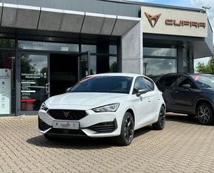 Cupra Cupra Leon 2.0 TSI DSG, ACC, FULL LINK, SHZ Gebrauchtwagen