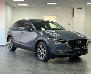 Mazda Mazda CX-30 Selection AWD/SHZ/LEDER/NAVI/KAMER/HUD Gebrauchtwagen