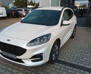 Ford Ford Kuga Plug-In Hybrid ST-Line X Head up, ACC, L Gebrauchtwagen