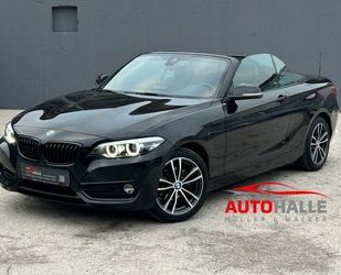 BMW BMW 218i Cabrio Sport Line Tempo Navi LED PDC SHZ Gebrauchtwagen