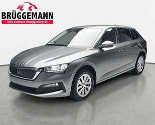 Skoda Skoda SCALA 1.0 TSI AMBITION KLIMA LED DAB SMARTLI Gebrauchtwagen